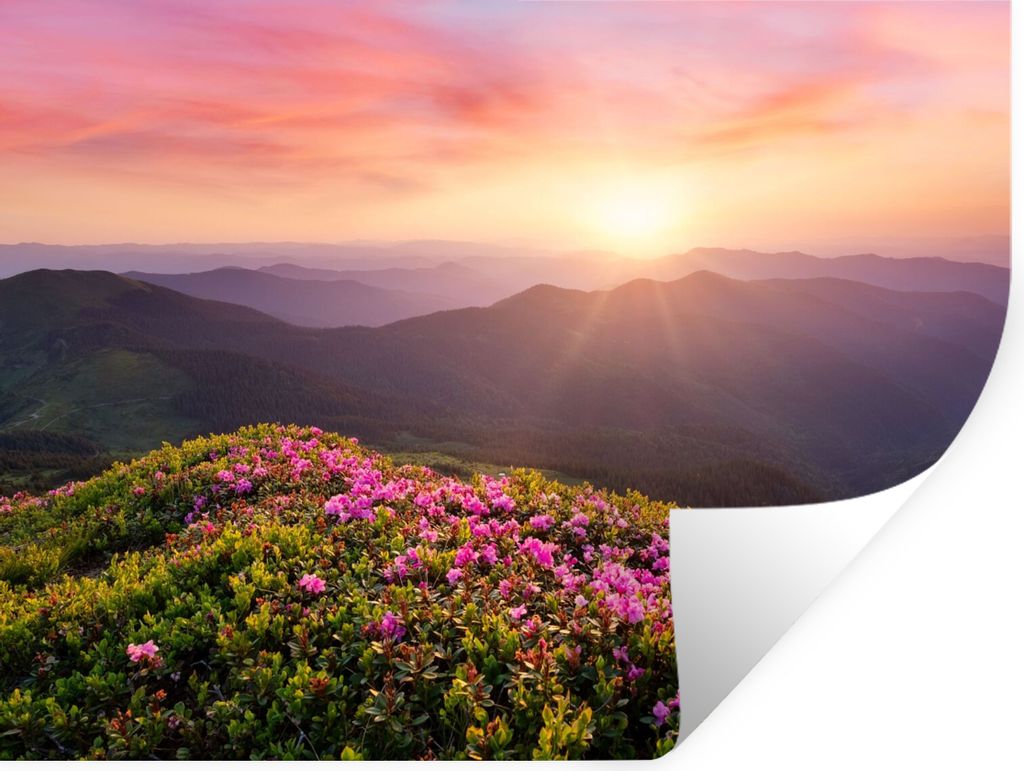 MuchoWow Wandtattoo Wandsticker Wandaufkleber Blumen - Berg - Sonnenuntergang - Landschaft 160x120 cm Selbstklebend und Repositionierbar - Selbst...