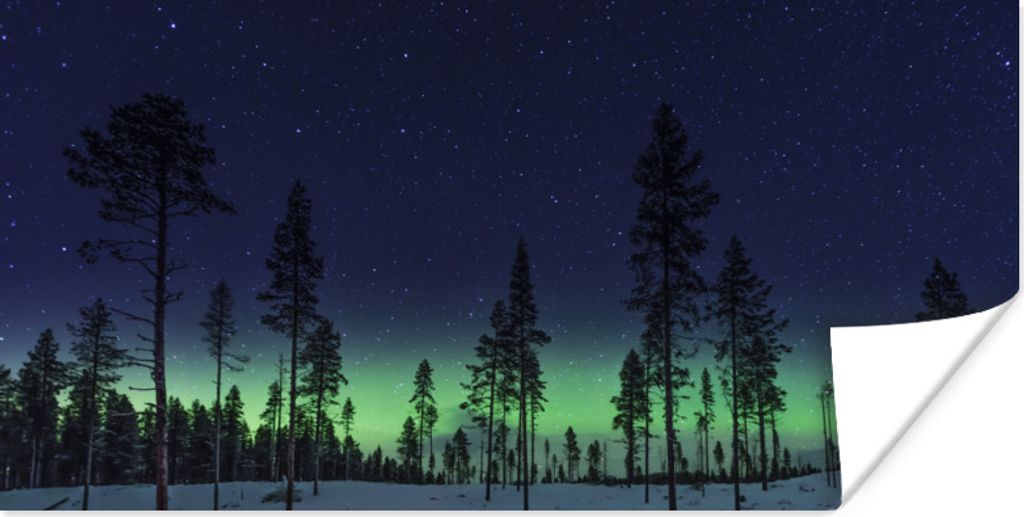 MuchoWow Poster Nordlicht - Schnee - Bäume - Natur - Grün 120x60 cm - Bild