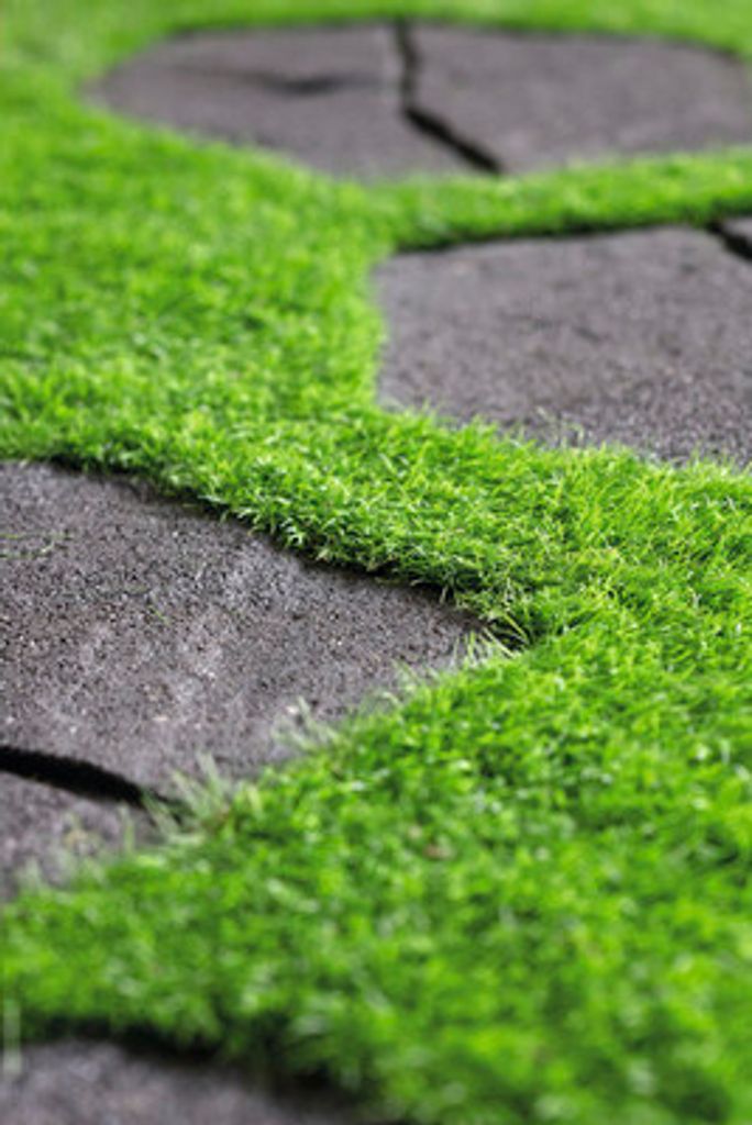 Trittplatte, Bodenplatte, Gartenfliese Ecoway recycelt 51 x Produktbild 4