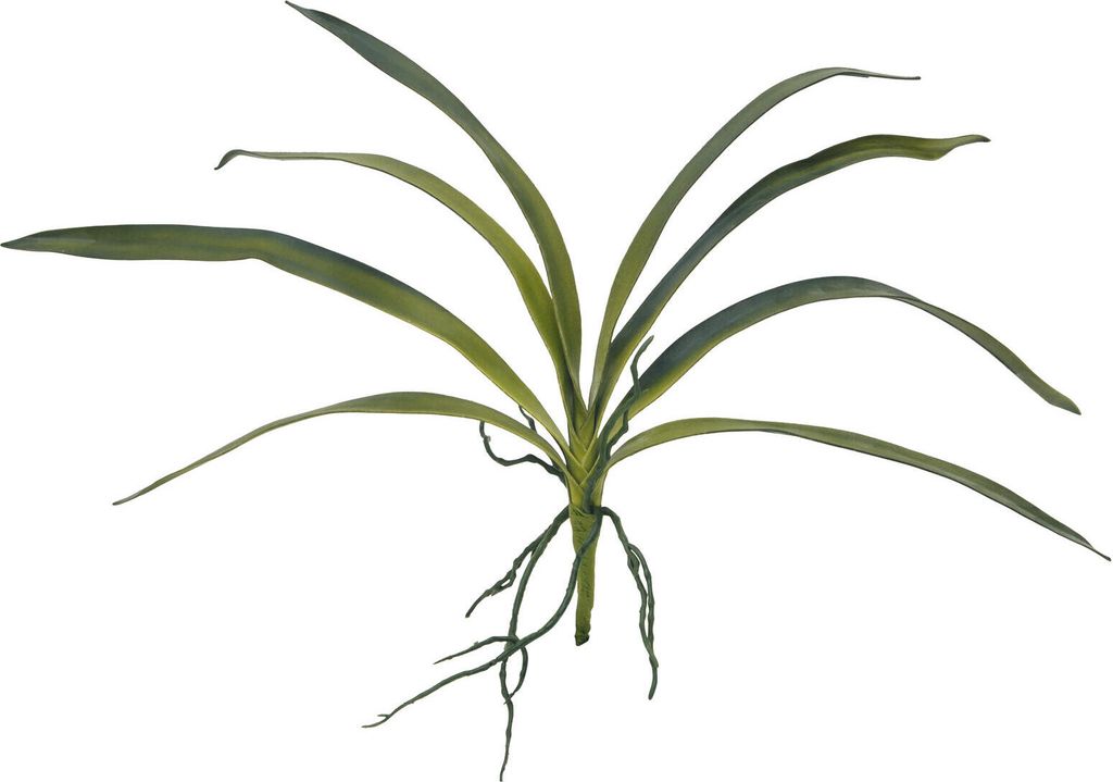 EUROPALMS List orchideje (EVA), umělý, zelený, 45 cm Obrázek produktu 