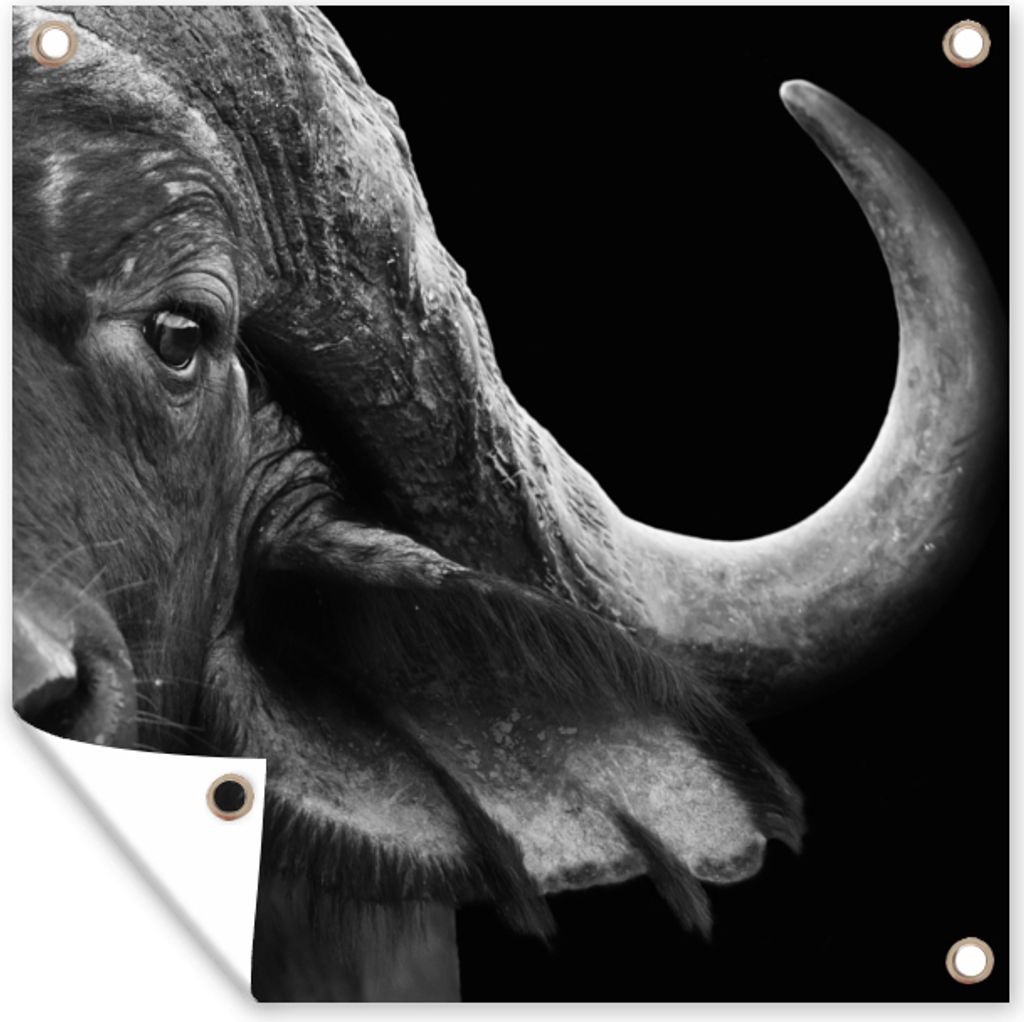 MuchoWow 100x100 cm Outdoor-Poster Gartendeko Sichtschutz Garten Poster für den Garten Büffel - Tiere - Schwarz - Weiß
