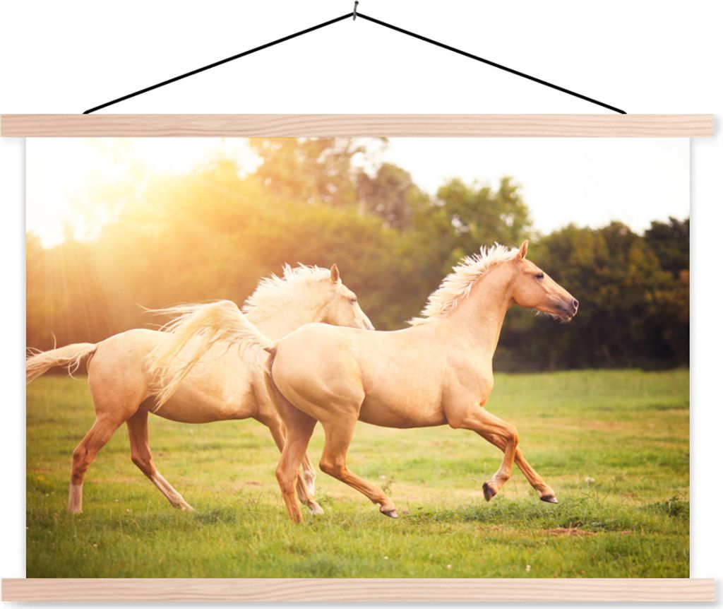 MuchoWow Textilposter Pferde - Gras - Sonne 60x40 cm mit holzfarbenen Rahmen - Bilder