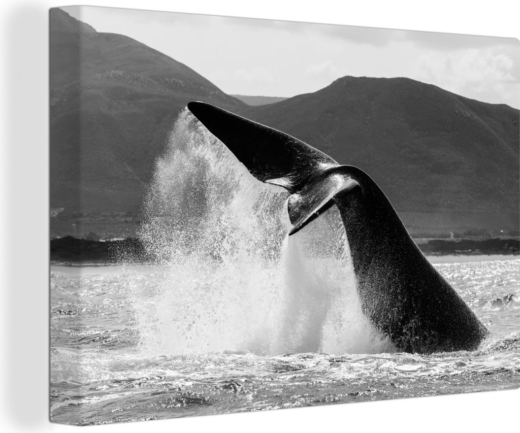 OneMillionCanvasses - Leinwandbilder - 140x90 cm, Wal - Wasser - Schwarz - Weiß, Wandbilder Kunstdruck Wanddekoration