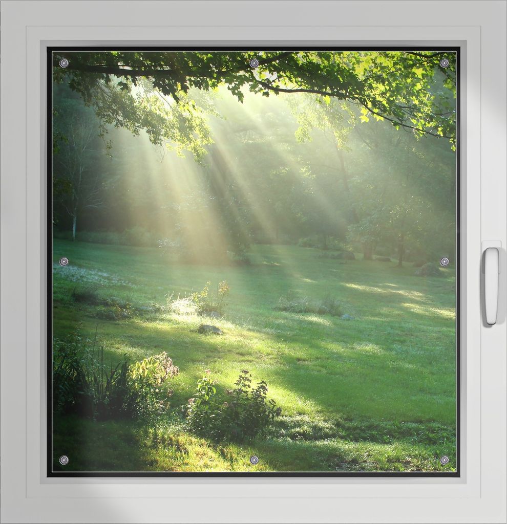Wallario Lichtschutzbild, Dekorativer Sichtschutz Sonnenschutz 96 x 93 cm mit Motiv: Sonnenstrahlen im Wald - Verdunklung ohne Bohren