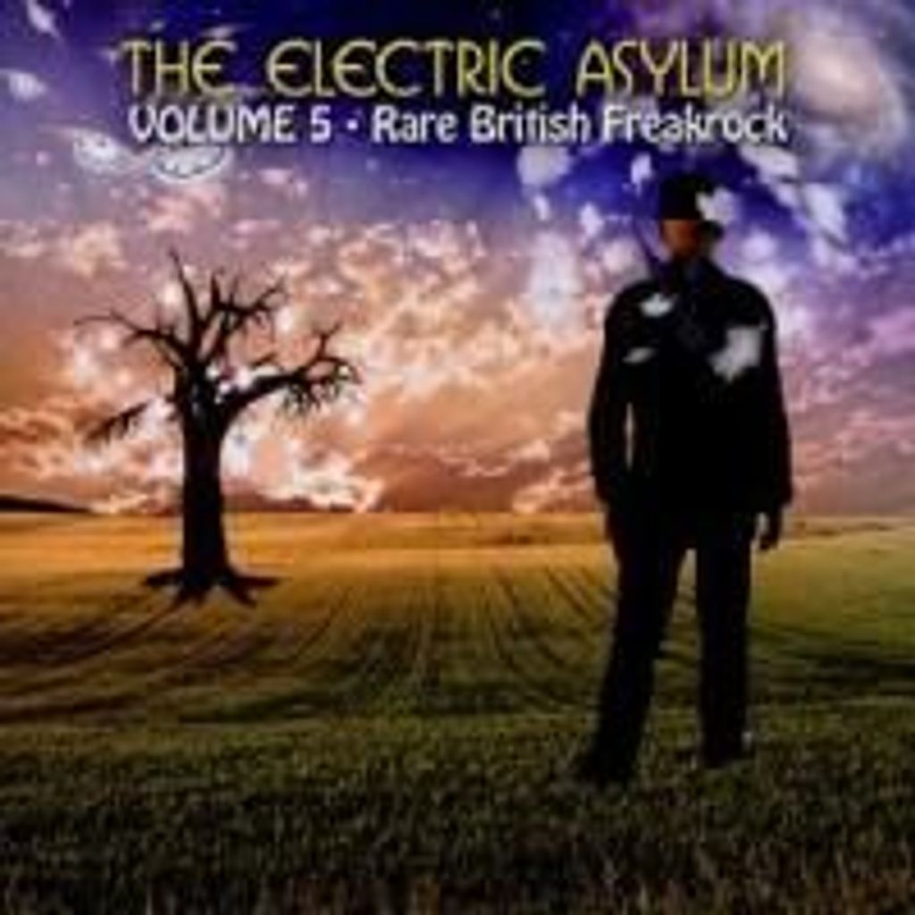 The Electric Asylum Vol.5