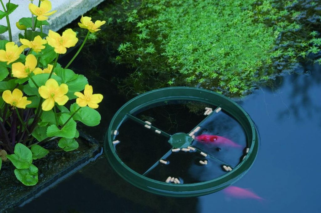 Ubbink Futterring für Teichfische, 24 cm Ø, verhindert Produktbild 