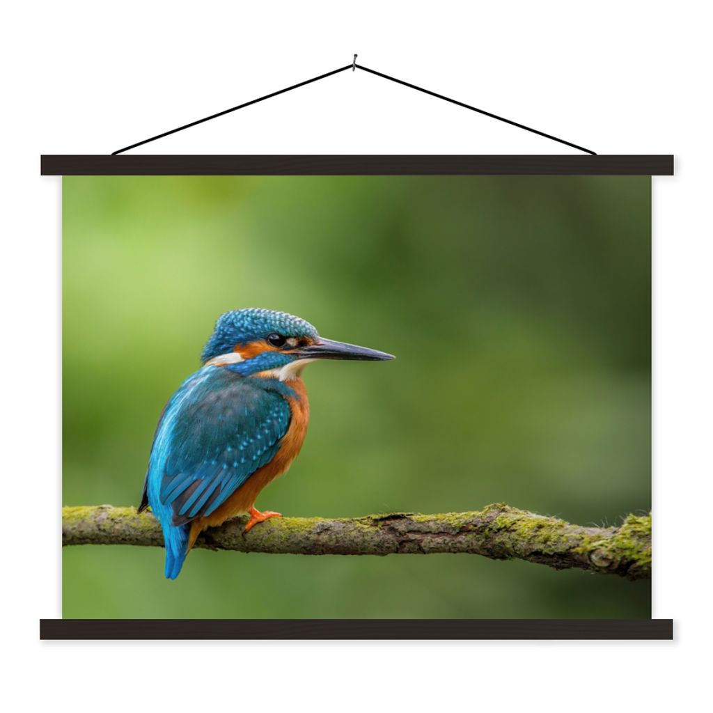 MuchoWow Textilposter Eisvogel - Zweig - Moos - Vogel - Grün 150x113 cm mit holzfarbenen Rahmen - Poster