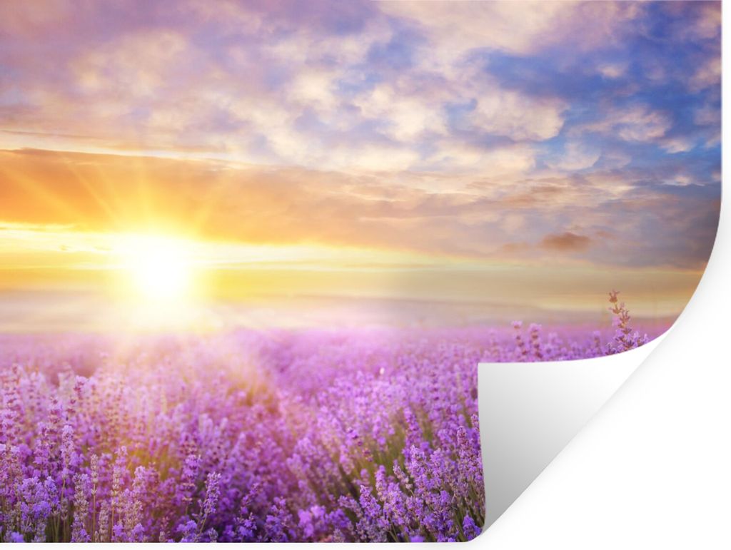 MuchoWow Wandtattoo Wandsticker Wandaufkleber Lavendel - Sonne - Himmel - Natur 40x30 cm Selbstklebend und Repositionierbar - Faltenfrei
