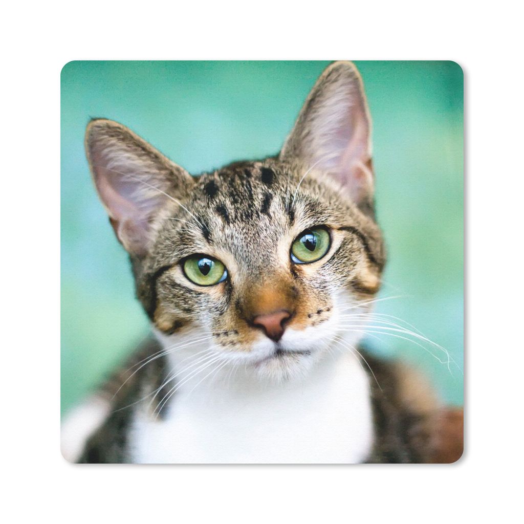 MuchoWow Mauspad Mousepad Katze - Porträt - Augen 30x30 cm - Mousepads - Maus Mat - Pad - Mausunterlage - Gaming
