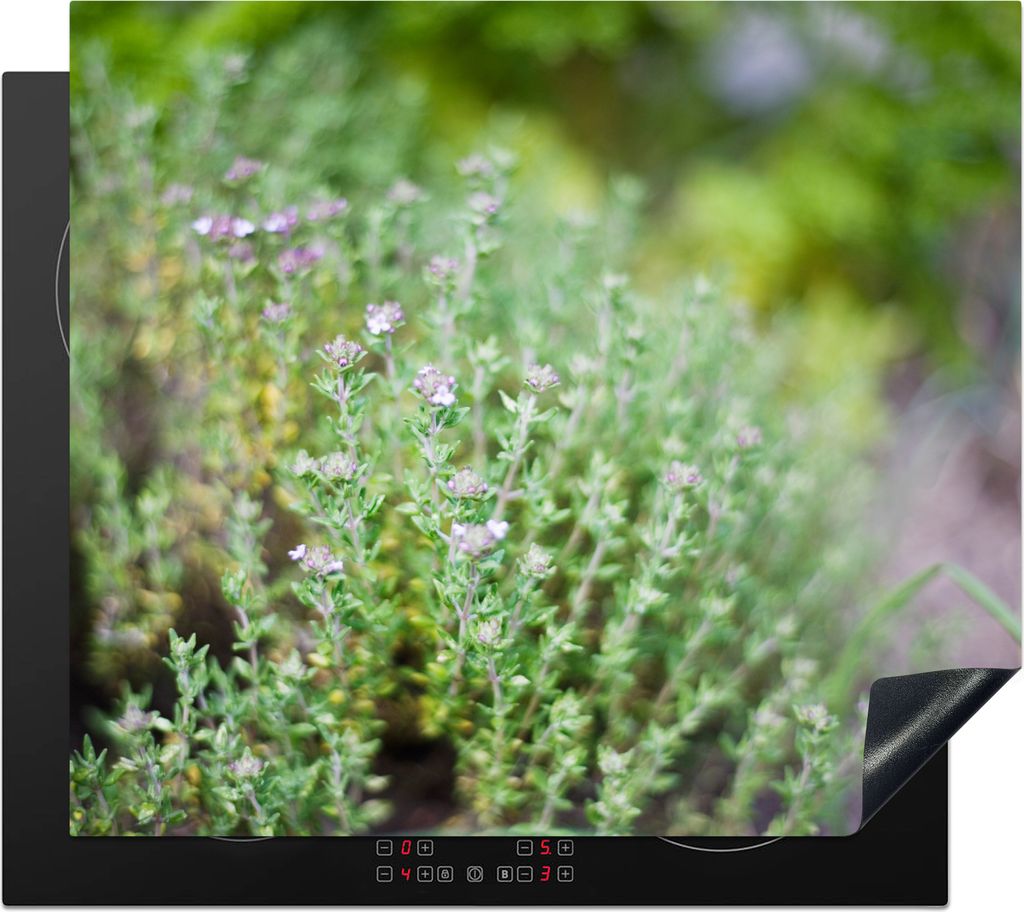 KitchenYeah© Herdabdeckplatte Nahaufnahme von wachsenden Produktbild 