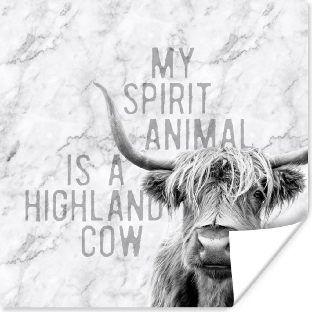 MuchoWow® Poster Marmor - Zitat - Schottischer Highlander Produktbild 