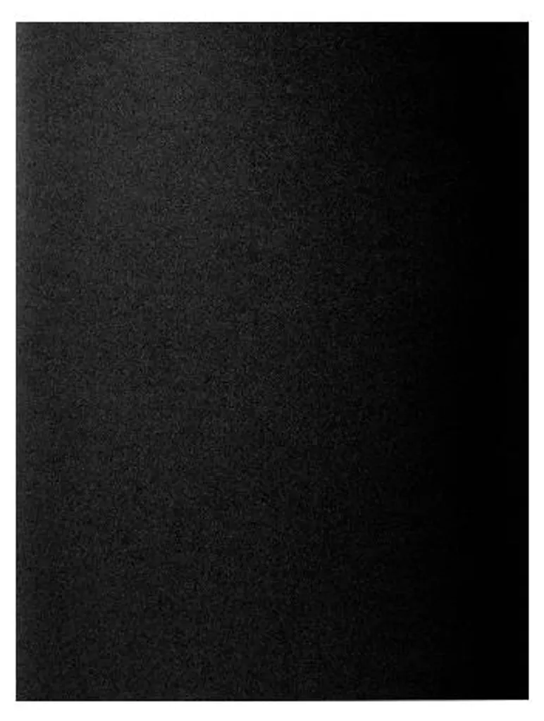Chemises cartonnées Noir 24x32 cm Rock's 210g Exacompta par 100