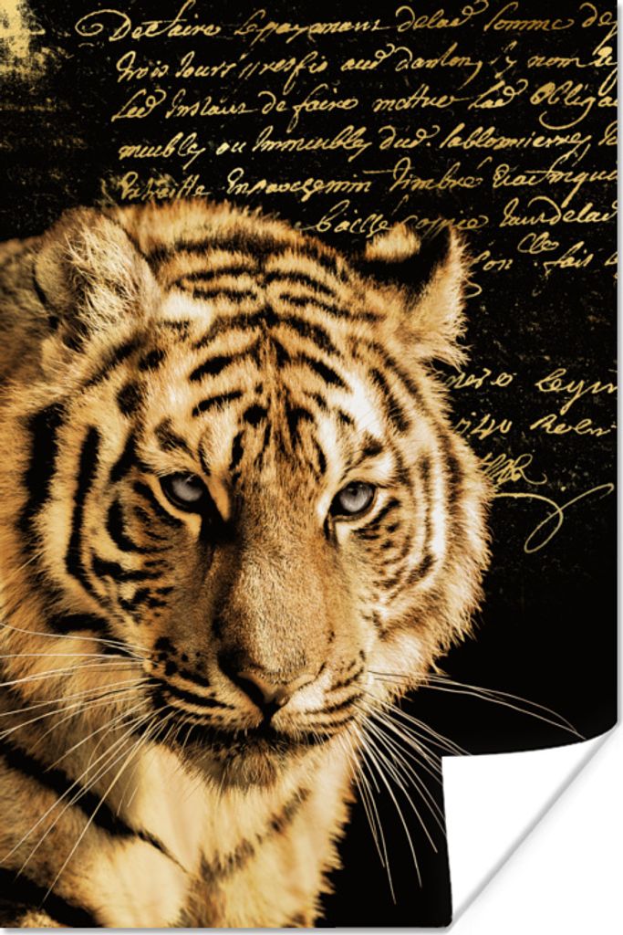 MuchoWow Poster Tiger - Text - Gold 40x60 cm - Plakate für die Wand - Poster Babyzimmer
