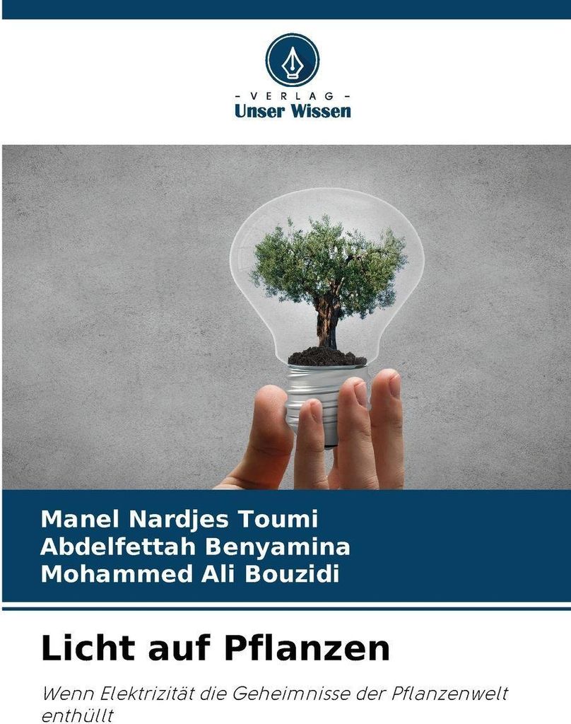 Licht auf Pflanzen