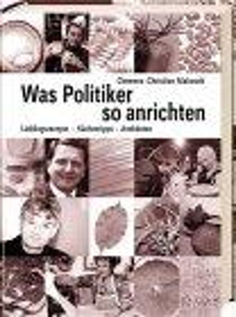 Was Politiker so anrichten