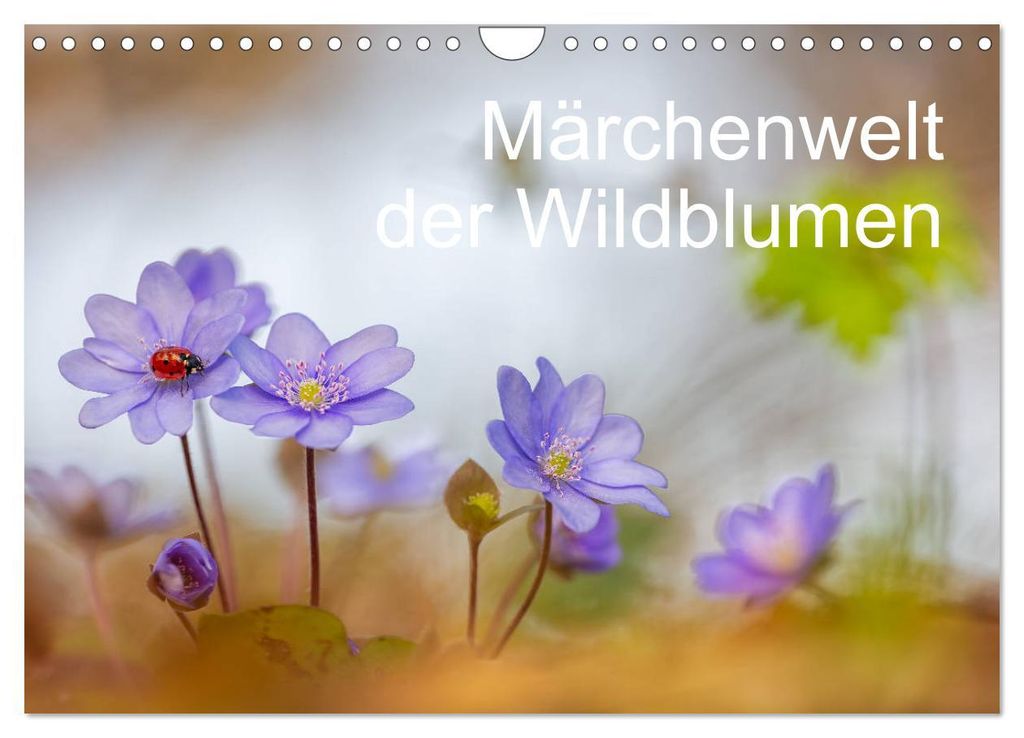 Märchenwelt der Wildblumen (Wandkalender 2027 DIN A4 quer), CALVENDO Monatskalender