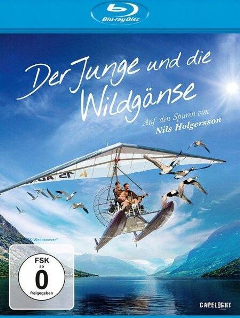 Der Junge und die Wildgänse