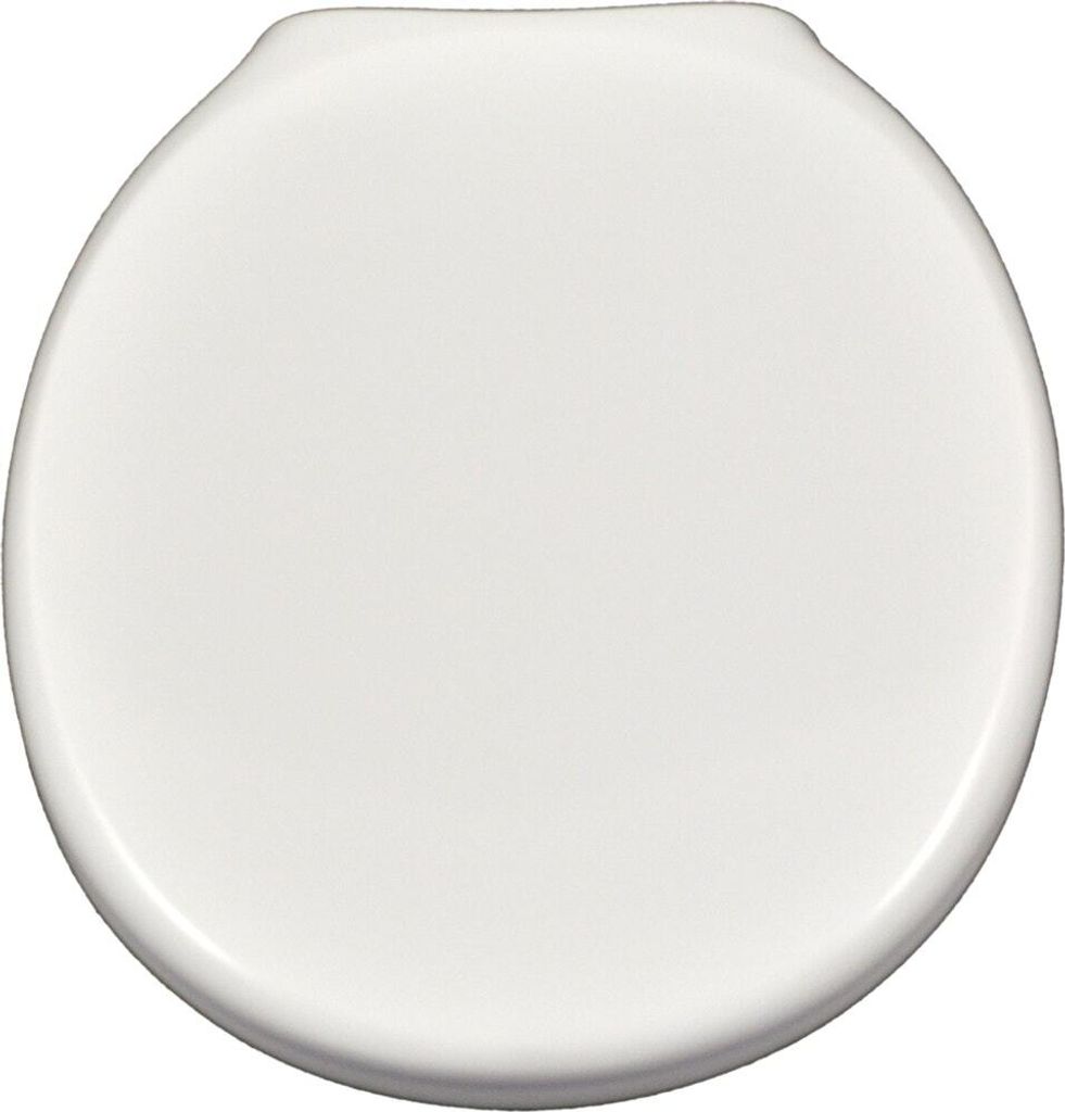 A top-down view of a white toilet seat.