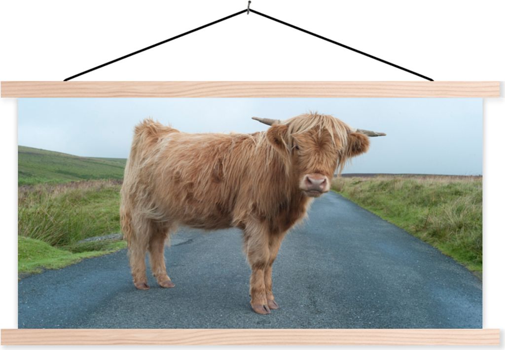 MuchoWow Textilposter Scottish Hochlandrind - Straße - Gras 60x30 cm mit holzfarbenen Rahmen - Dekoration