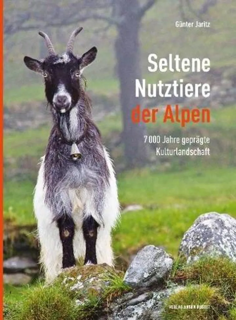 Livre Seltene Nutztiere der Alpen : Races Rares des Alpes Illustrées