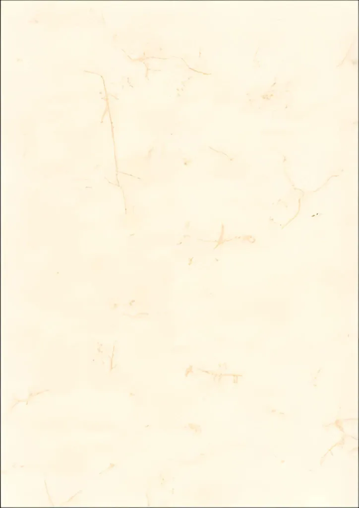Papier pour Diplômes et Certificats Blanc DIN A4 190g RNK Verlag 2858