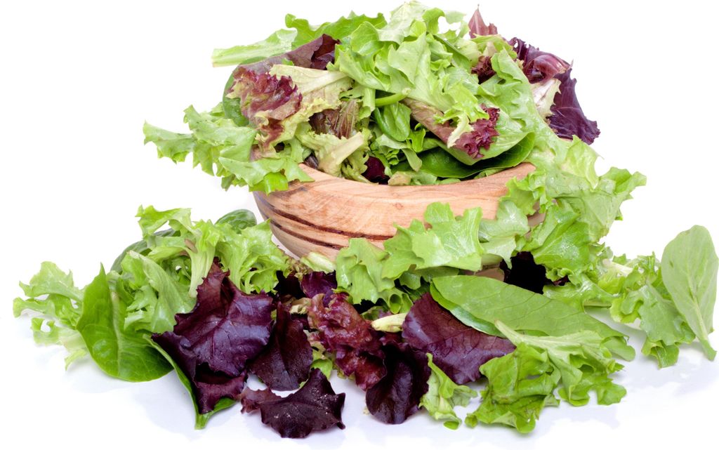 Balkon Salat Samen Ezayleaf Mischung Salatmischung Mix Salat Gemüse Saatgut Garten Hochbeet Salatsamen Ganzjährig ca 150 Korn AlexLand