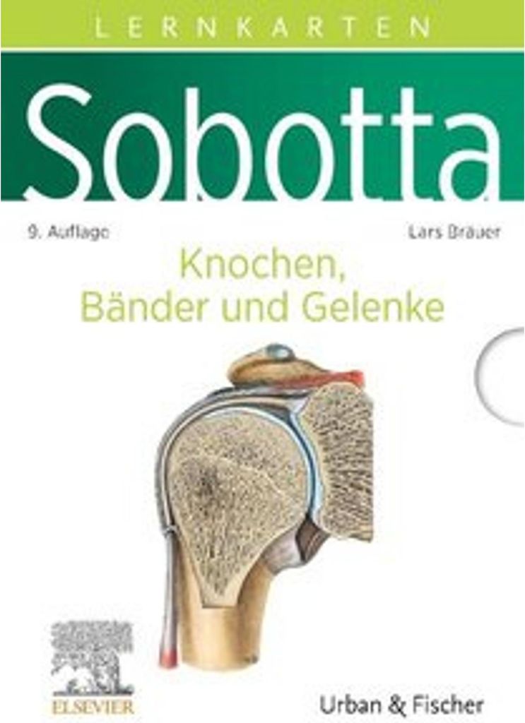 Sobotta Lernkarten Anatomie: Knochen, Bänder und Gelenke