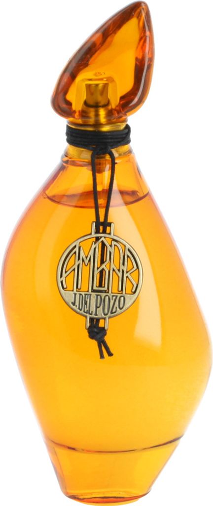 Jesus Del Pozo Ambar Eau de Toilette pour femmes 100 ml Image du produit 