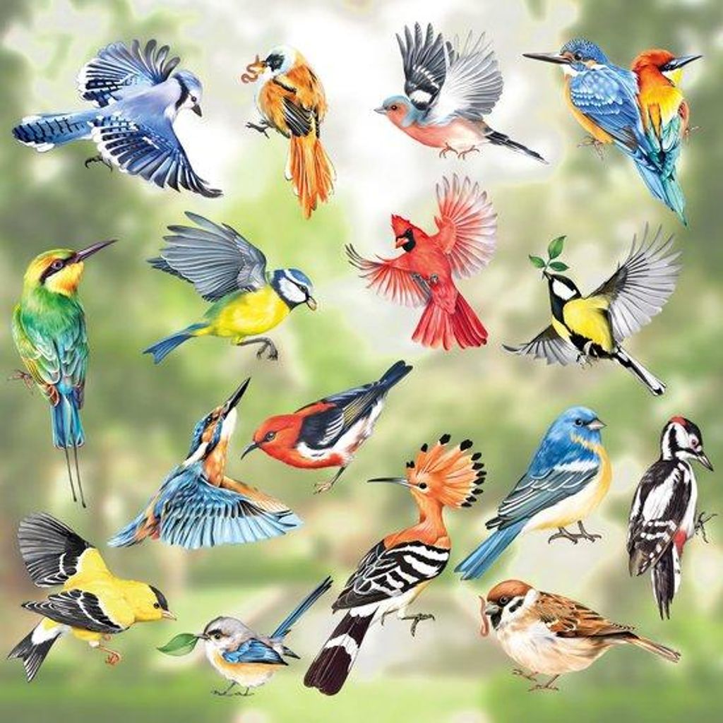 Kolibrien Raamstickers 17 Stück Sommer Glas Raamdekoration Vogelartig