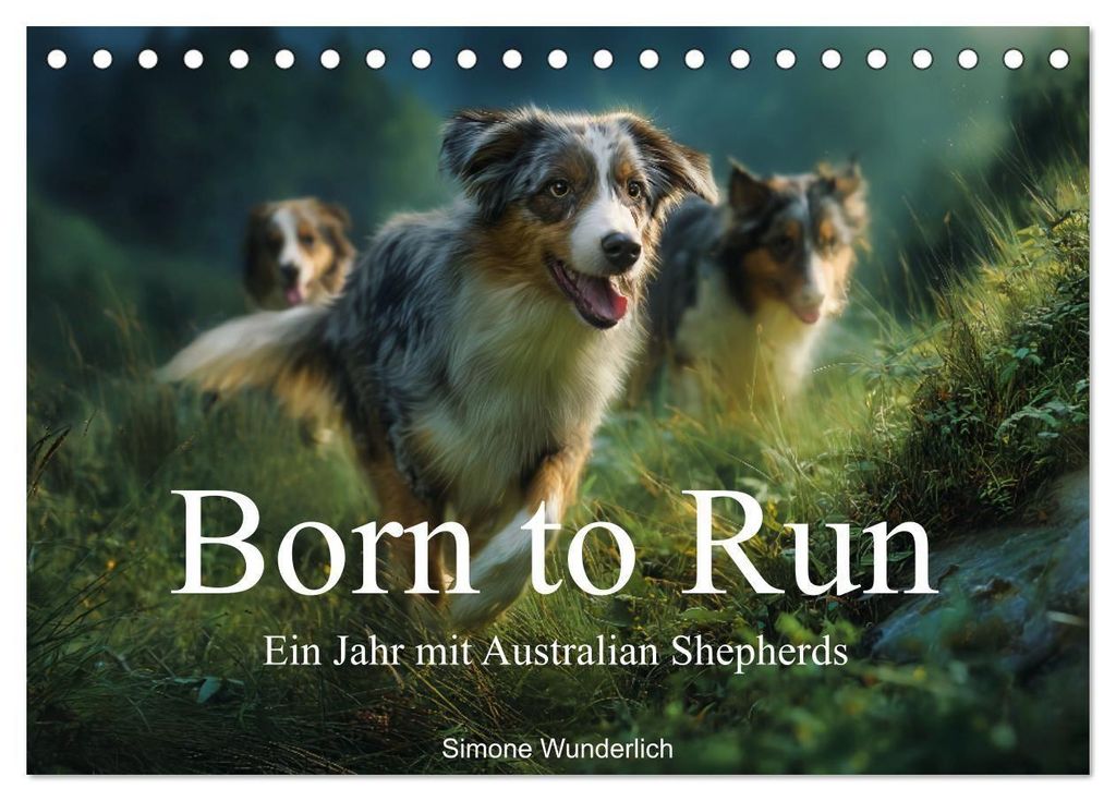 Born to run - Ein Jahr mit Australian Shepherds (Tischkalender 2027 DIN A5 quer), CALVENDO Monatskalender