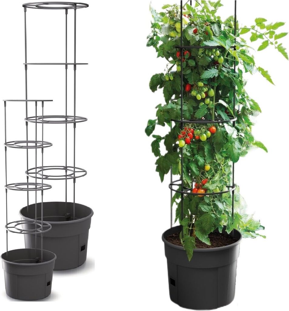 Vaso per piante di pomodoro con scala capacità 12 litri Immagine del prodotto 