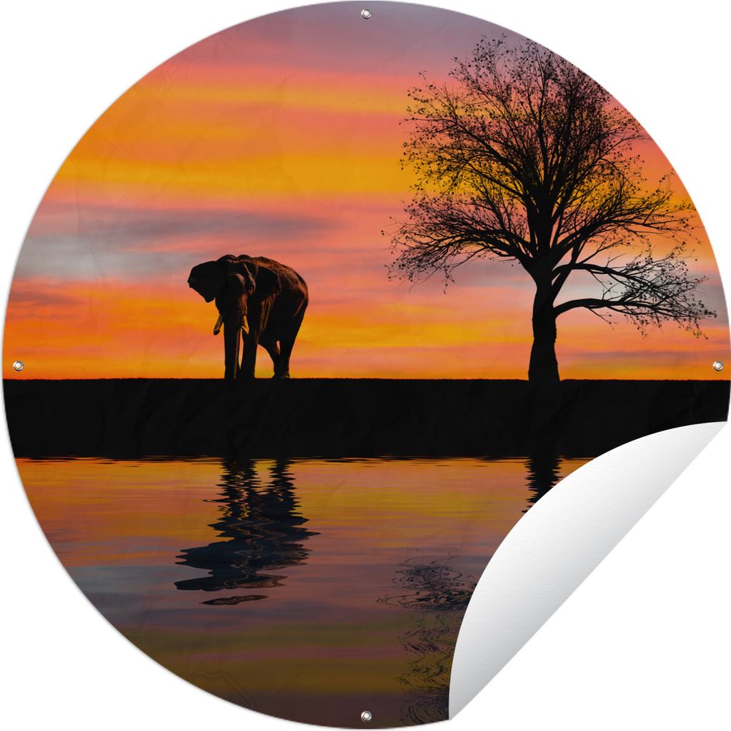 MuchoWow Gartenposter Outdoor-Poster Rund Elefant und Sonnenuntergang Ø 60 cm Gartendeko Rundes Poster draußen