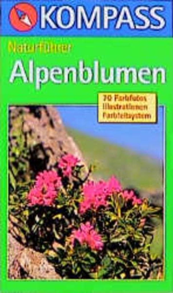 Alpenblumen | Christine Jaitner