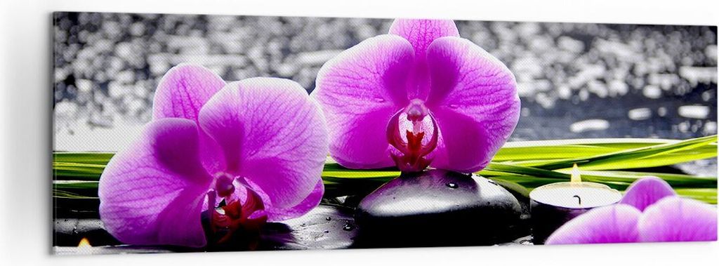 Bild auf Leinwand - Leinwandbild - Orchidee Natur Wasser Blume - 160x50cm - Wand Bild - Wanddeko - Leinwanddruck - Bilder - Kunstdruck - Wanddekora...