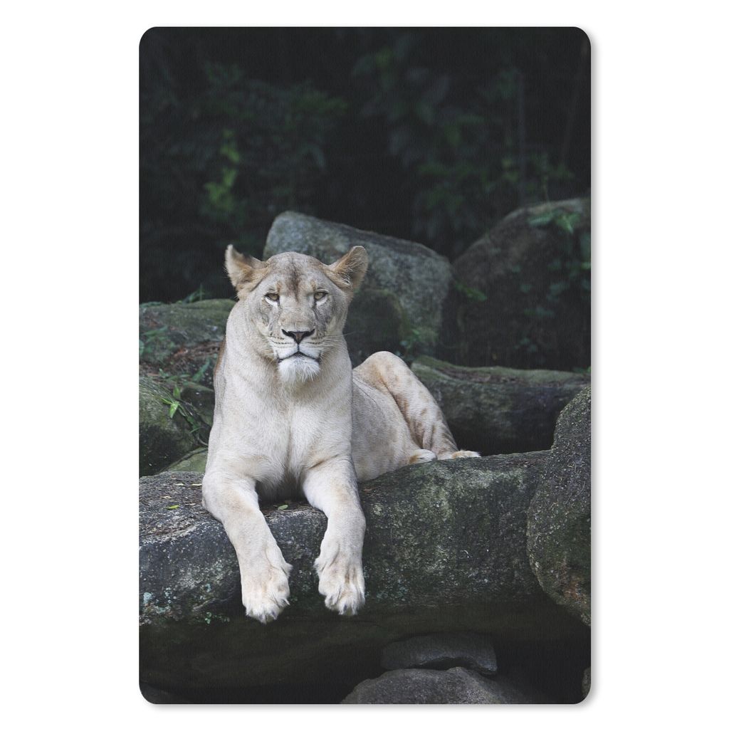 MuchoWow Mauspad Mousepad Löwe - Wilde Tiere - Porträt 18x27 cm - Mousepads - Maus Mat - Pad - Mausunterlage