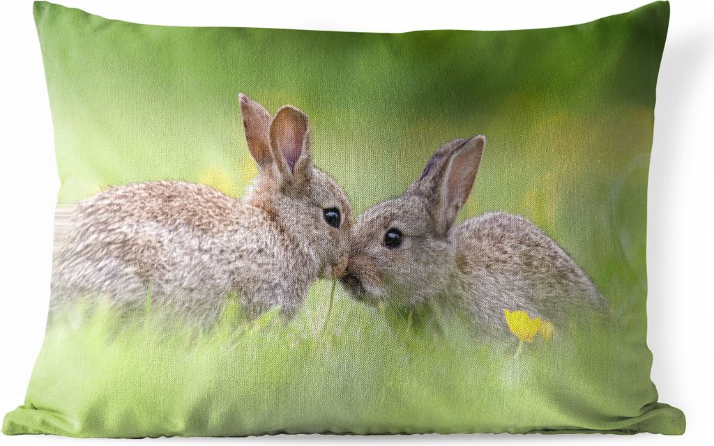 MuchoWow Outdoor Kissen - Kaninchen - Baby - Gras - 60x40 cm - Wetterfest - Lounge Kissen - Zierkissen - Kissen für Innenräume