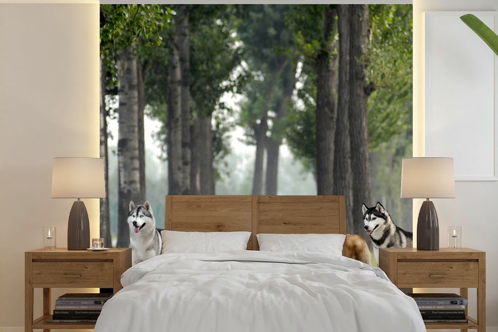 MuchoWow Fototapete für Wohnzimmer oder Schlafzimmer Wandtapete Vinyl Motivtapete Vier Huskys zwischen den Bäumen - 240x240 cm - Schlafzimmer-T...