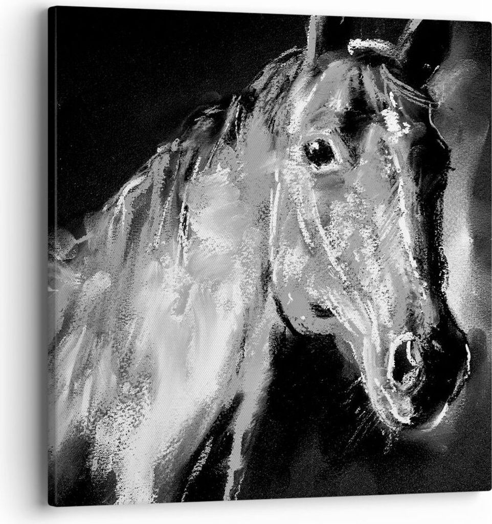 Bild auf Leinwand - Leinwandbild - Pferd Natur Tier - 40x40cm - Wand Bild - Wanddeko - Wandbilder - Leinwanddruck - Bilder - Kunstdruck - Wanddekor...