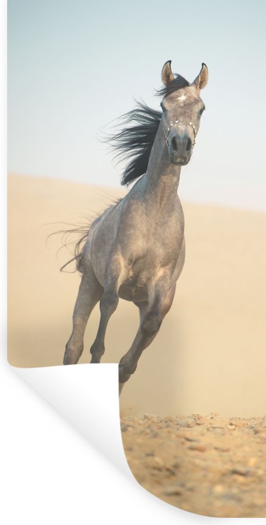 MuchoWow Wandtattoo Wandsticker Wandaufkleber Pferd - Sand - Wüste 20x40 cm Selbstklebend und Repositionierbar - Selbstklebend - Fototapeten