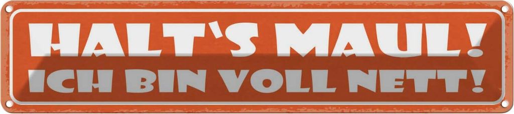 vianmo Blechschild 10x46 cm halt`s Maul ich bin voll nett Spruch Zitat