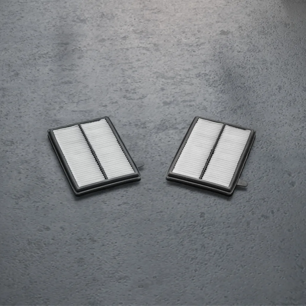 Filtre AEG AFR1 pour aspirateur robot RX9 et RX8.1 - Pack de 2 filtres