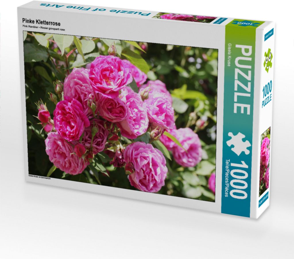 CALVENDO Puzzle Pinke Kletterrose | 1000 Teile Lege-Größe 64x48cm Foto-Puzzle für glückliche Stunden