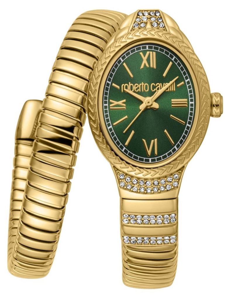 Roberto Cavalli Montres MP245997 Image du produit 