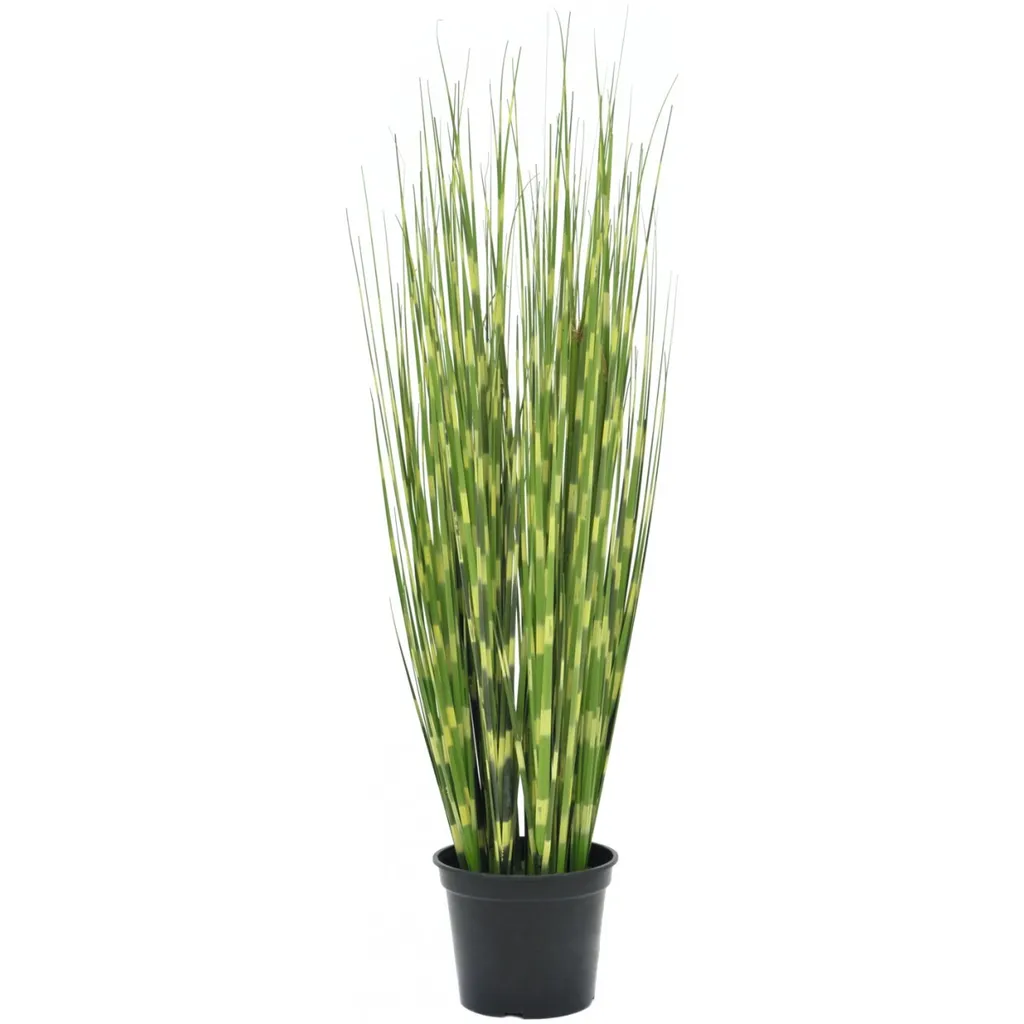 Europalms Erba Zebrata 90cm: Decora Casa Vacanze e B&B con Stile