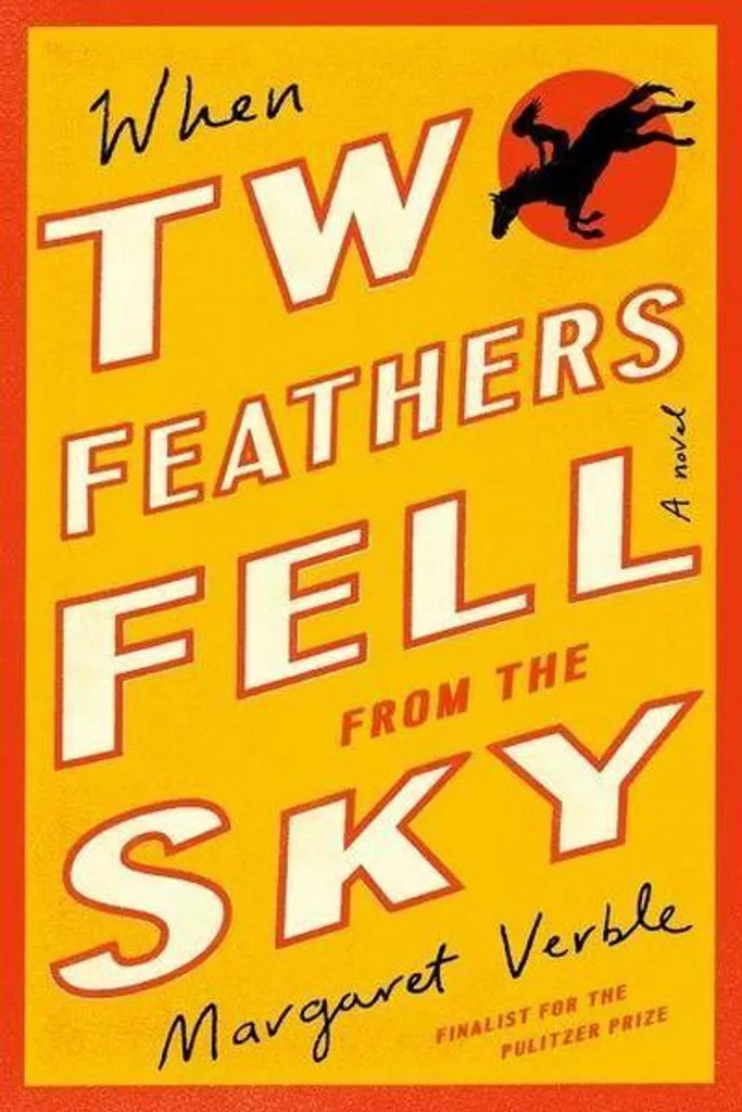 When Two Feathers Fell from the Sky, livre de fiction mystère