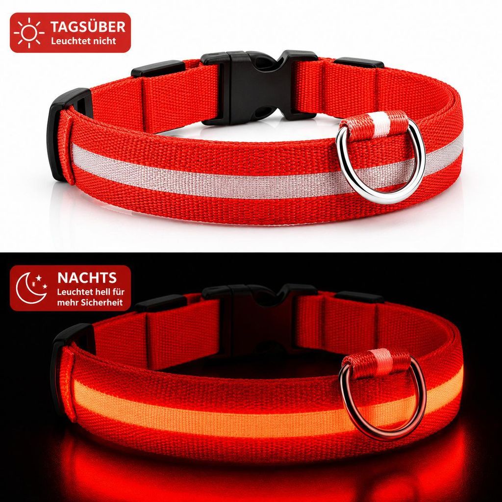 LED Hundehalsband USB aufladbar reflektierend Leuchthalsband verstellbar S–XL für Hunde Nacht Sicherheit inkl. Ladekabel Größe Gr. S (34 - 41c...