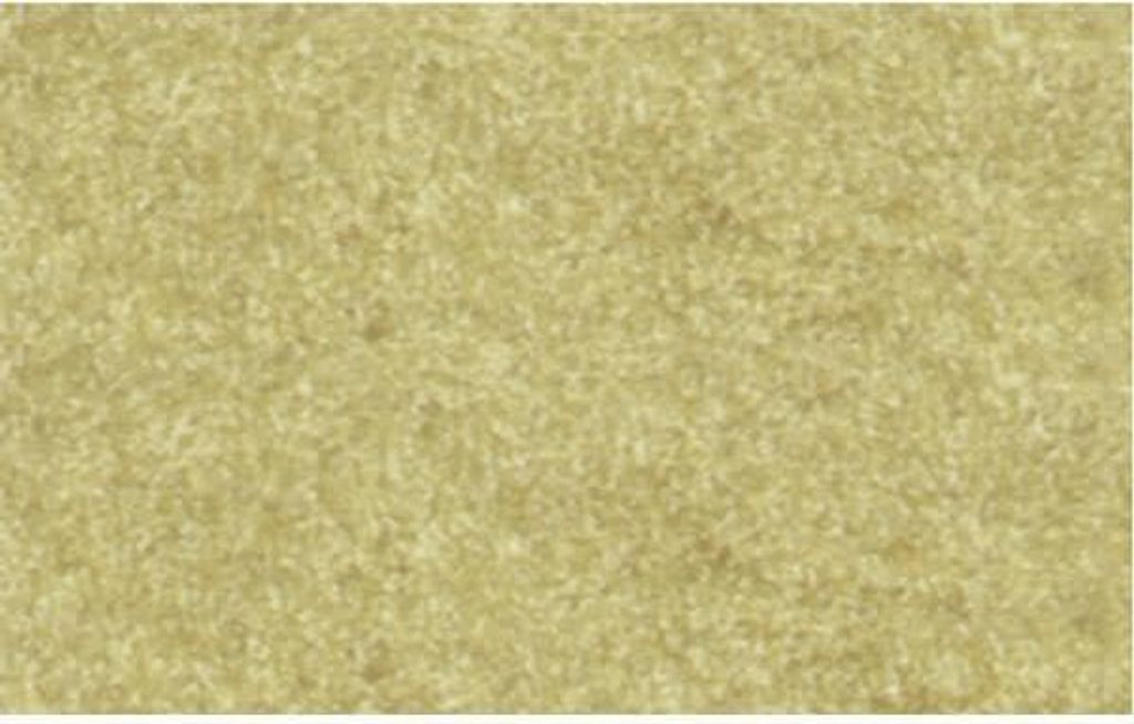 Elefantenhaut 110g/qm A4 VE=100 Blatt chamois