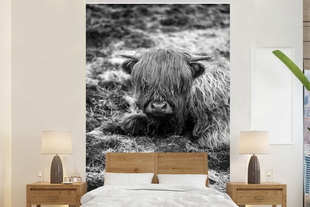 MuchoWow Fototapete für Wohnzimmer oder Schlafzimmer Wandtapete Vinyl Motivtapete Ruhender schottischer Highlander - schwarz und weiß - 195x300...