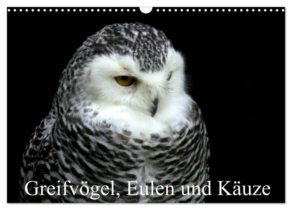 Greifvögel, Eulen und Käuze (Wandkalender 2027 DIN A3 quer), CALVENDO Monatskalender