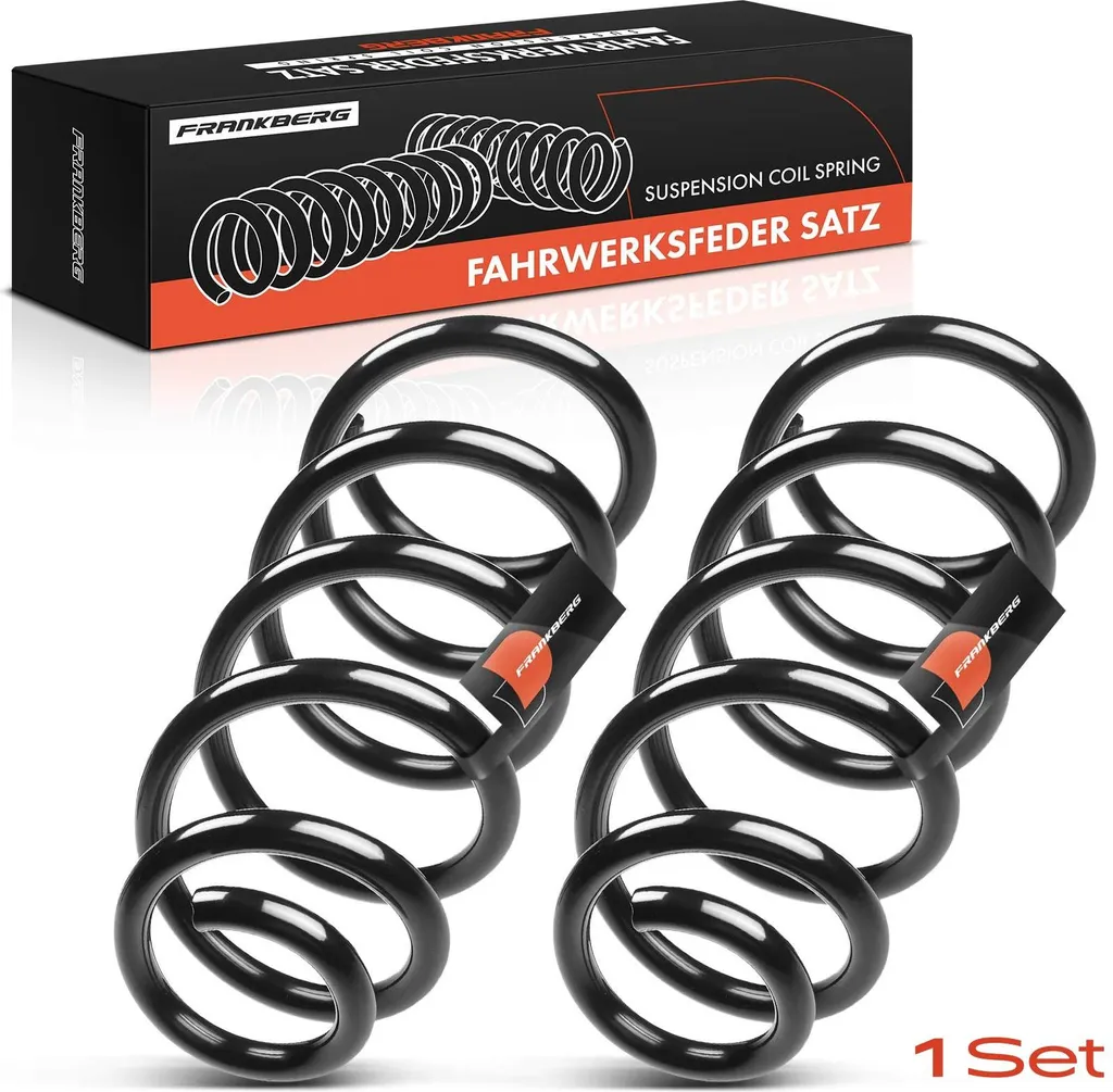 Frankberg 2x Ressort de Suspension Arrière pour Fiat Punto 176 1993-1999